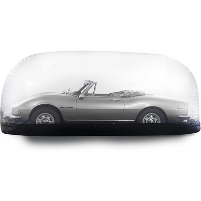 Inflatable Car Shield