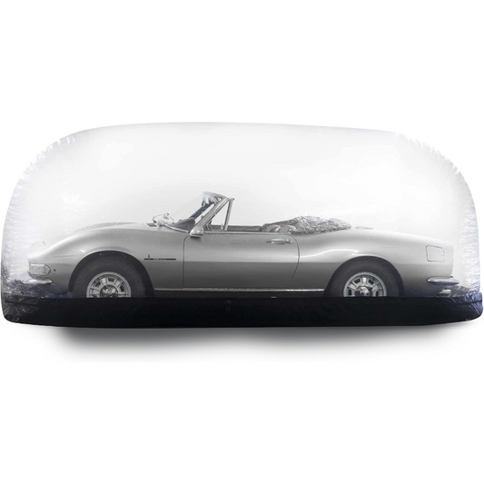 Inflatable Car Shield